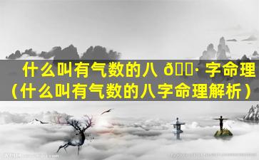 什么叫有气数的八 🕷 字命理（什么叫有气数的八字命理解析）